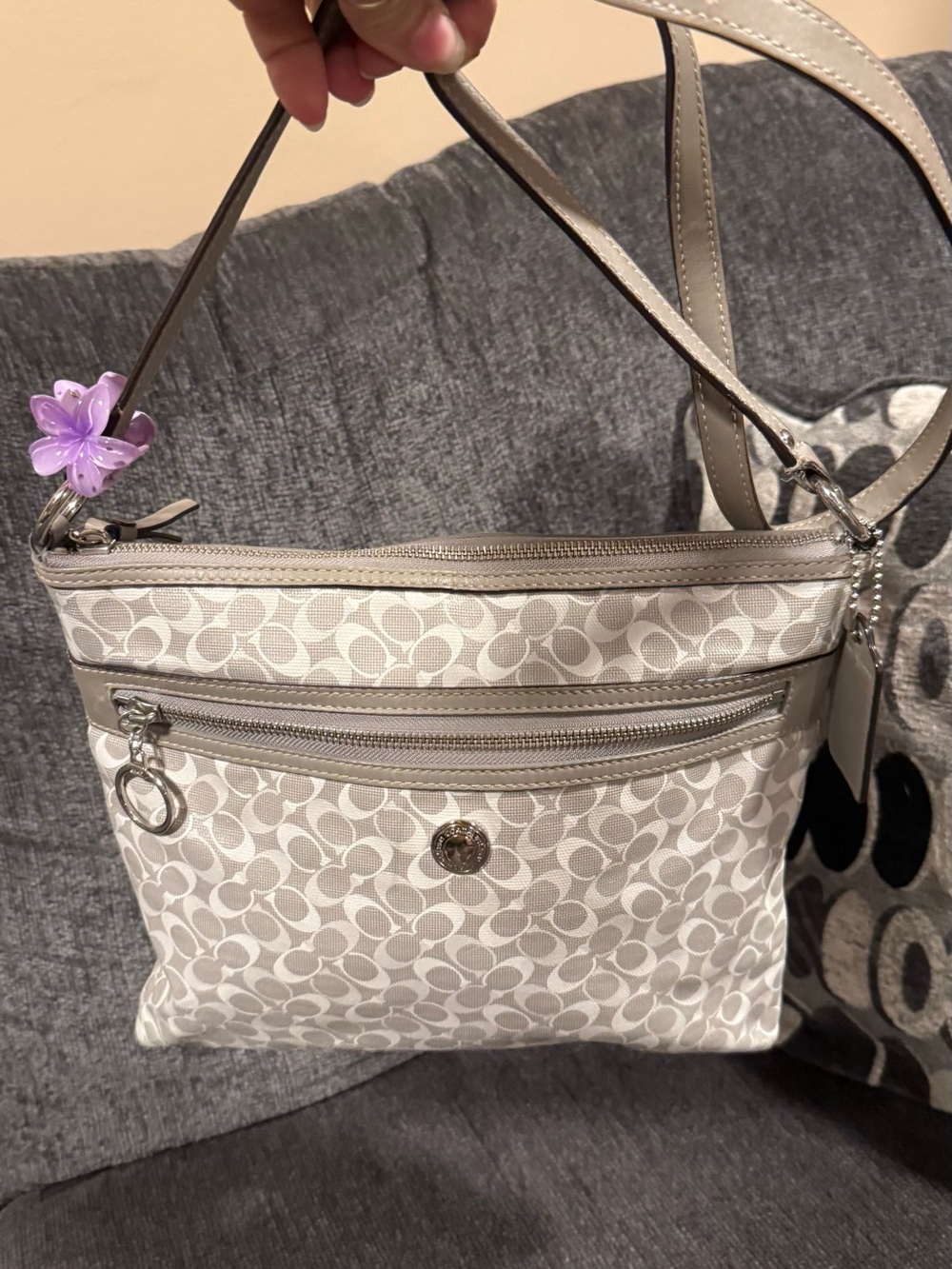 Coach Signature Canvas Crossbody Bag in Chalk